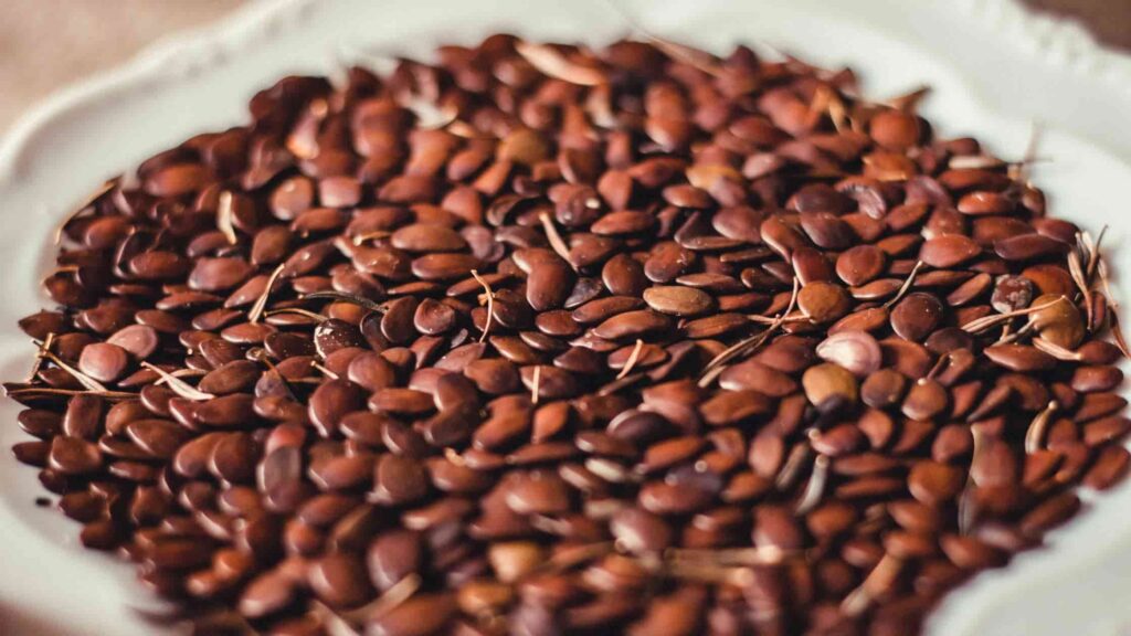 Flax Seeds Benefits for Female: